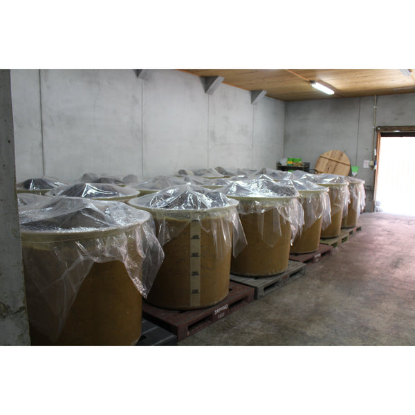 아다치조조 숙성 일명 된장 천연발효 붉은 된장 500g