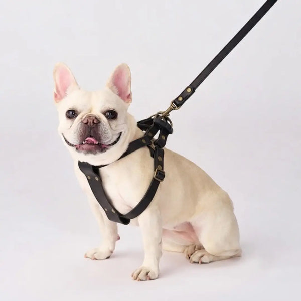 Bonbi Pets 토치기 소가죽 개 하네스 올리브 그린