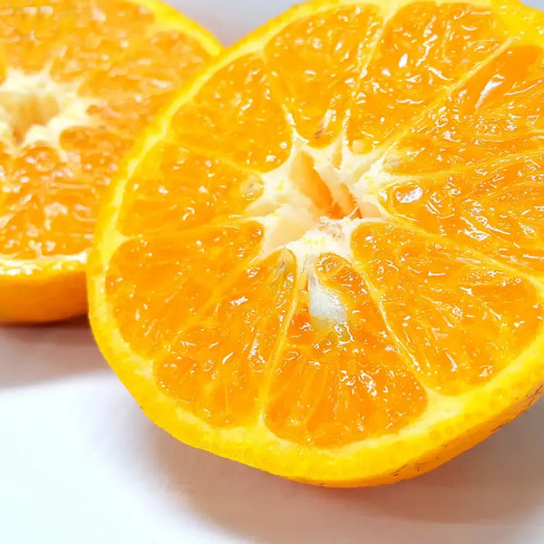 치큐바타케 유기농 수제 퐁칸 감귤 마멀레이드 잼 140g