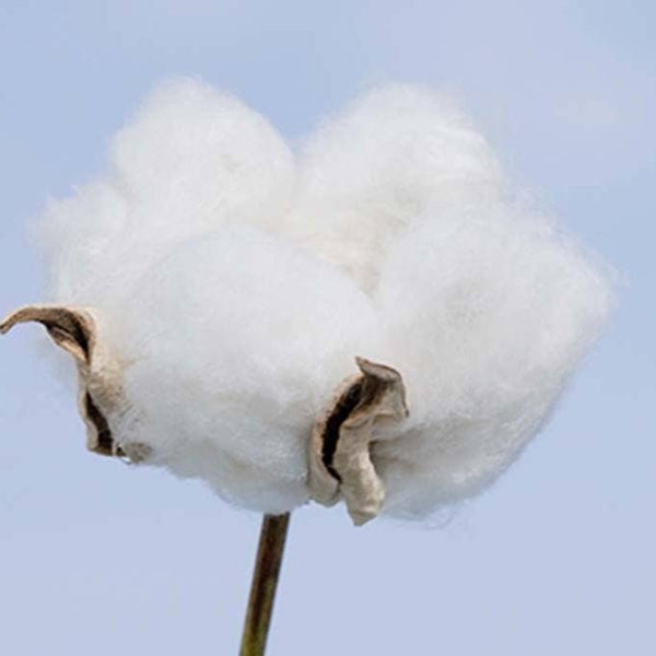 코튼 라보 오가닉 순면 생리대 날개 달린 16개 패드