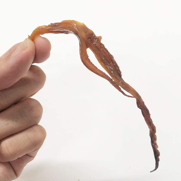 겐코츠 일본식 양념 건오징어 스낵 60개