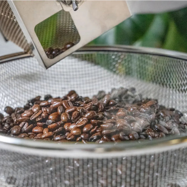 Kogu 홈 로스팅용 컴팩트 핸드 크랭크 커피빈 로스터 드럼