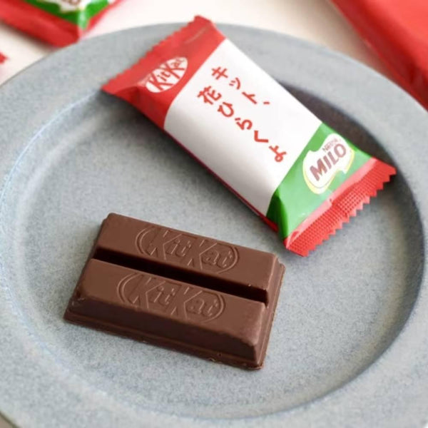 네슬레 킷캣 아이언 부스트 초콜릿(마일로 킷캣 10개 포함)