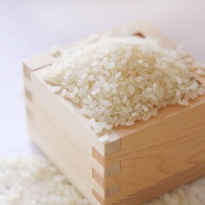 유기농 고시히카리 하쿠마이 쌀 일본산 백미 2kg