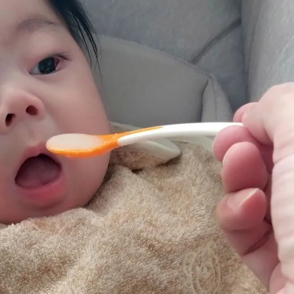 오림 이마바리 100% 유기농 순면 흡수성 아기 턱받이