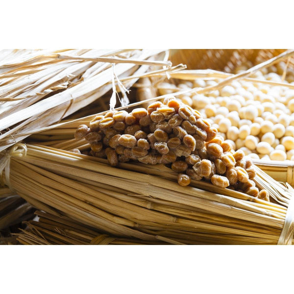 가와구치 낫토 동결 건조 분말 낫토 콩 75g