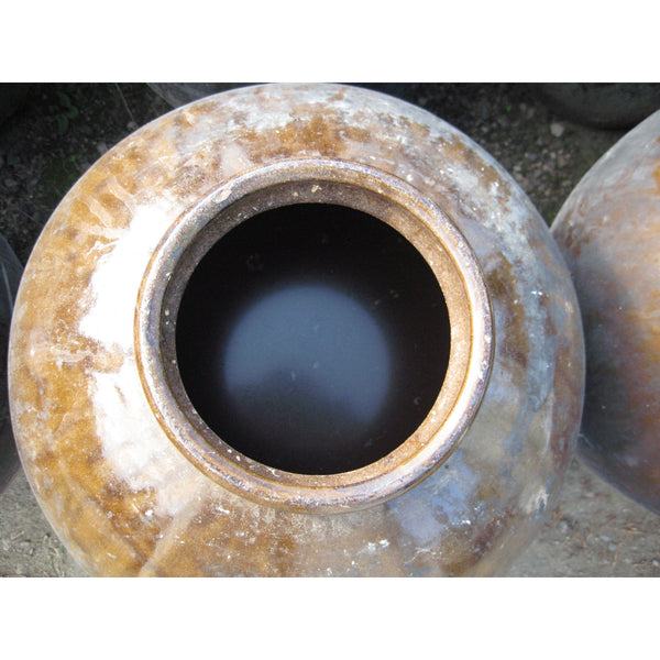 마루시게 블루베리 프리미엄 음용식초 500ml