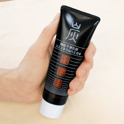 월드 파라다이스 구취제거 숯치약 110ml