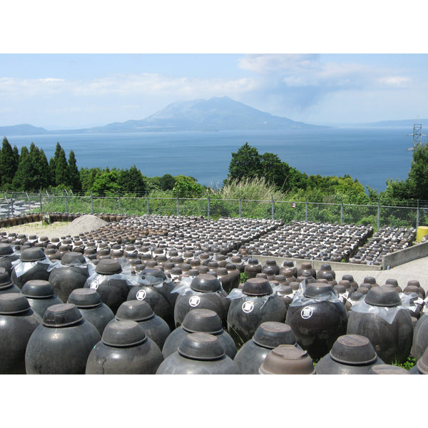 마루시게 블루베리 프리미엄 음용식초 500ml