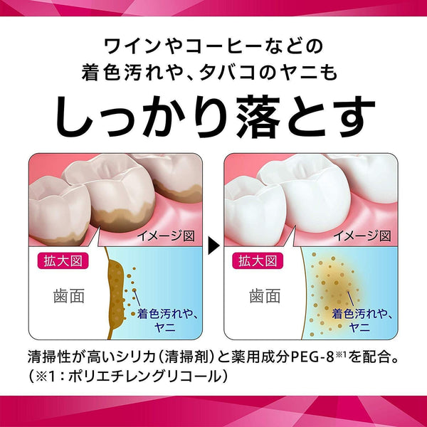썬스타 세티마 치약 잇몸 건강 스페셜 케어 80g