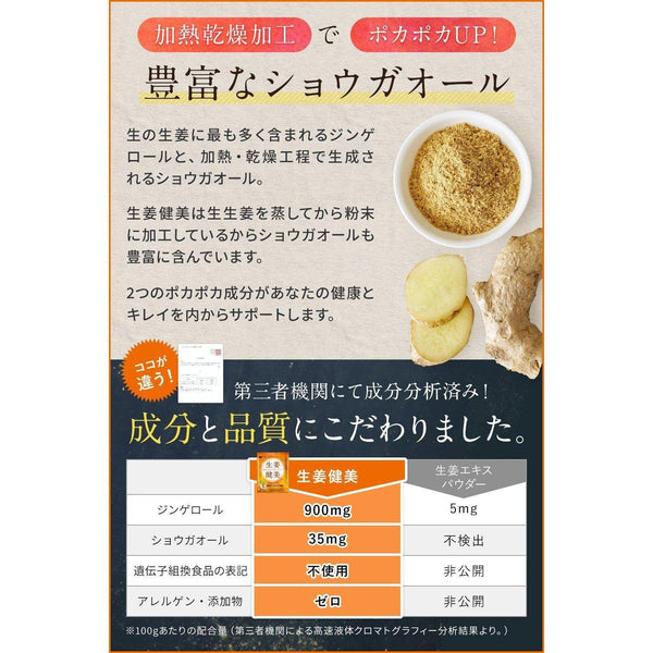 쇼가켄비 일본산 생강가루 100g