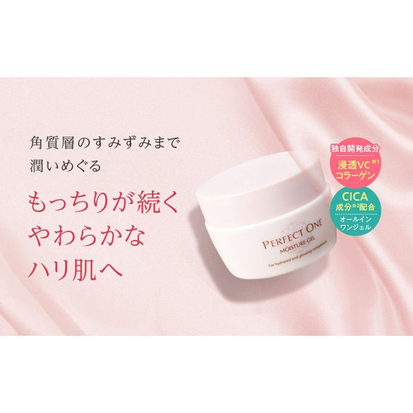 퍼펙트원 모이스처 젤 (중성피부용 올인원 모이스처라이저) 75g
