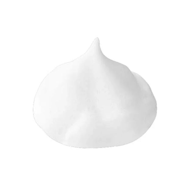 사나 나메라카 혼포 두유 이소플라본 포밍 클렌저 중성 피부용 150g