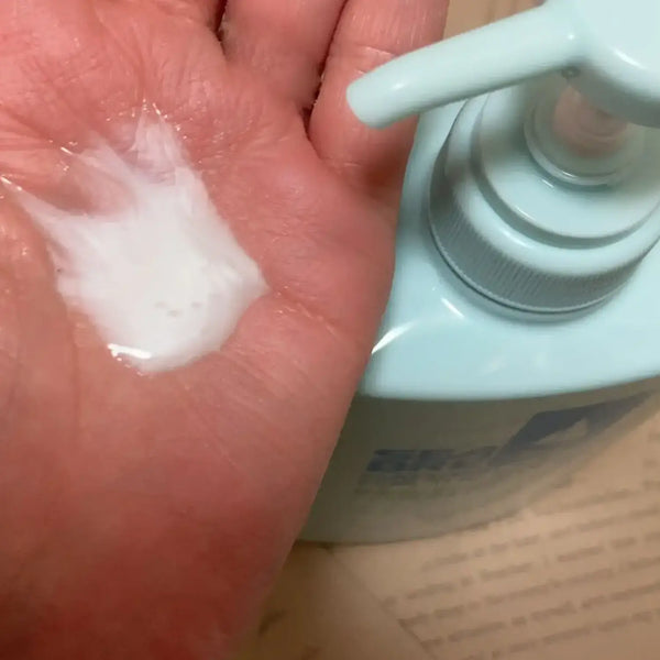 씨브리즈 데오도라이징 & 쿨링 바디워시 490ml