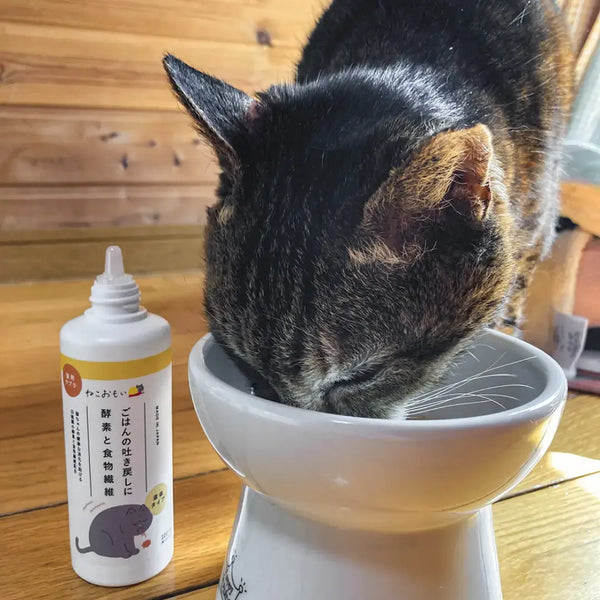 타우루스 고양이 소화 건강 보조제 효소 & 식이섬유 100ml