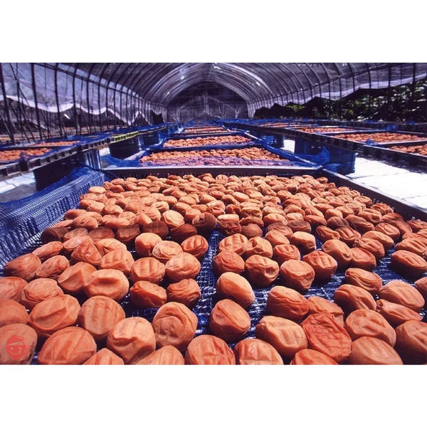 우메보시 매실장아찌 무첨가 500g
