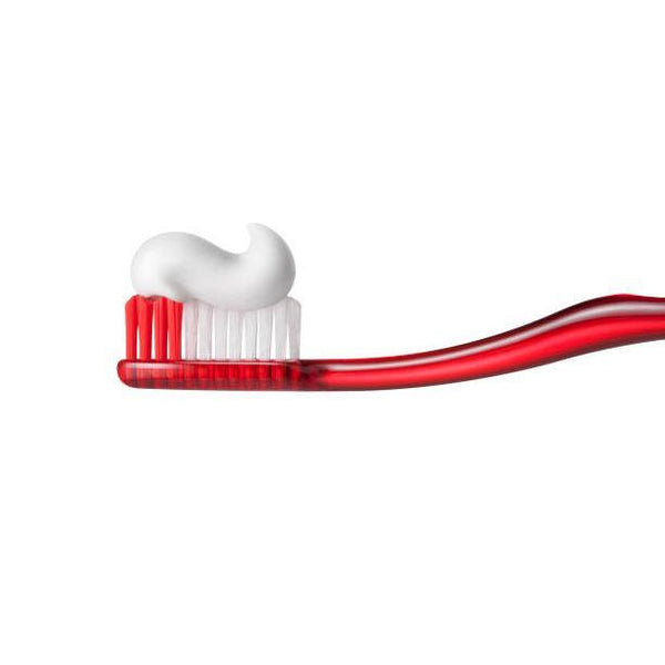 야쿠르트 아파코트 S.E. 나노기술 치약 120g