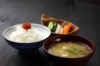 일본 음식