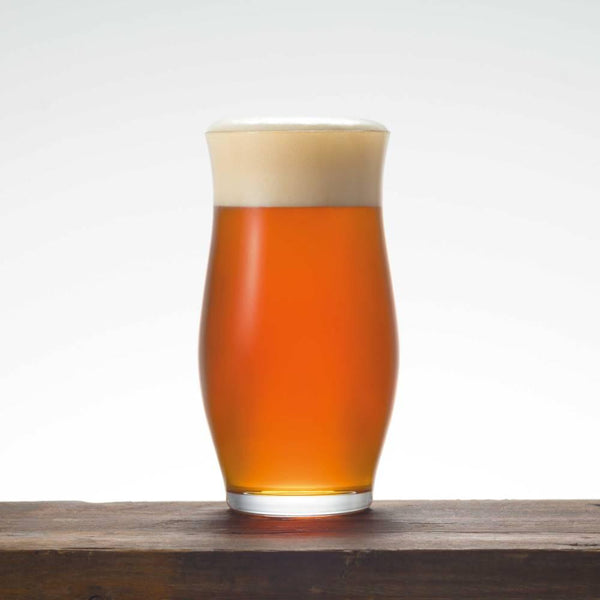 Aderia Craft Beer Glass Convex Stylish 프리미엄 유리 제품 대형 420ml