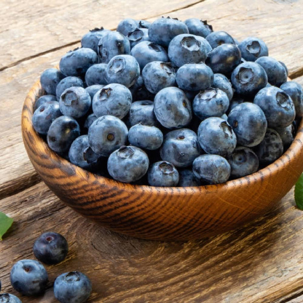 블루베리 시럽 무첨가 빙수 시럽 260g