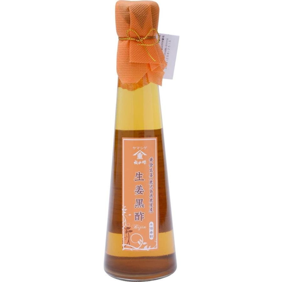 후쿠야마스 쇼가 흑미생강양념숙성흑미식초 200ml