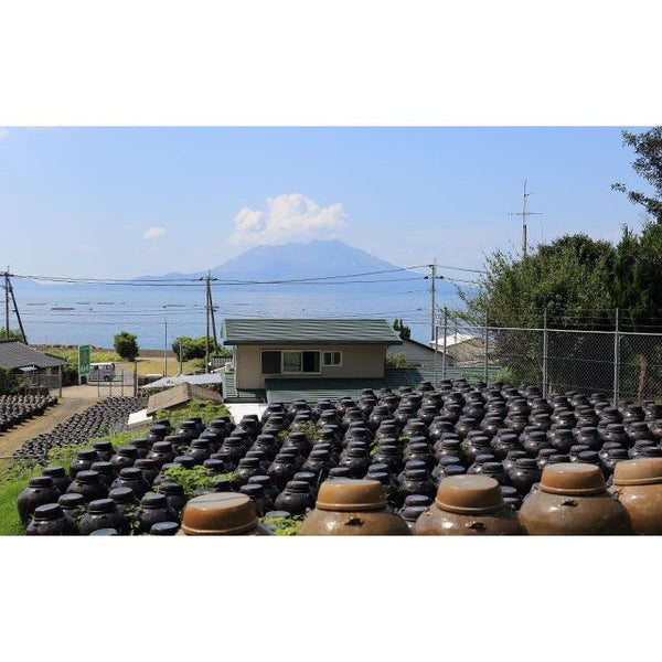 후쿠야마스 쇼가 흑미생강양념숙성흑미식초 200ml