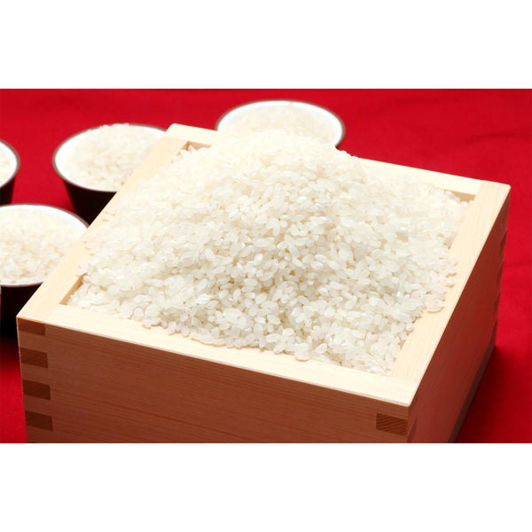 기시 모치코 가루 일본 찹쌀 가루 250g