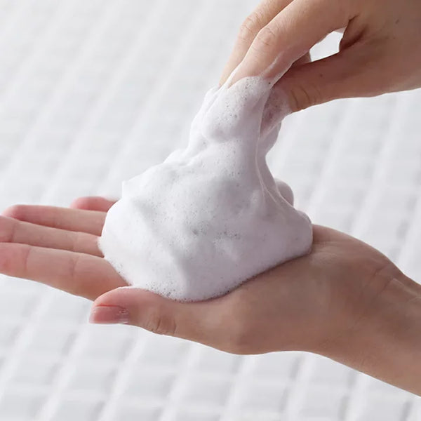 이시자와랩 토메이 시로하다 스킨 브라이트닝 포밍 세안제 100g