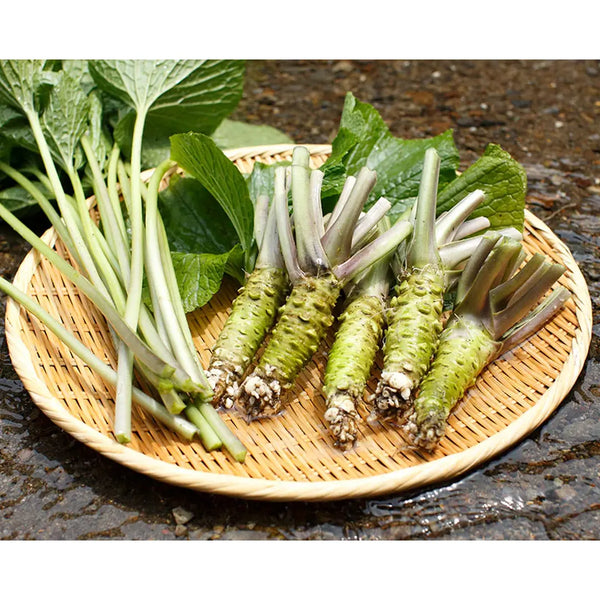 가메야 와사비 김 김 후리카케 다용도 밥 시즈닝 38g