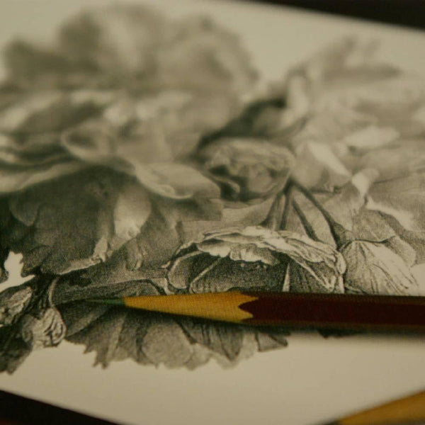 uni 미쓰비시 스타 일본 흑연 연필 4B 12개