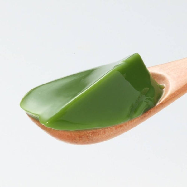 모리한 말차 푸딩 믹스 전문가용 500g