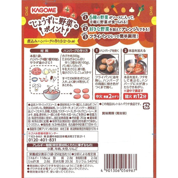 카고메 함바구 소스(일본식 햄버거 스테이크 소스) 250g
