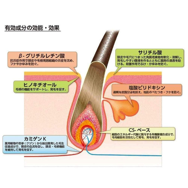 카미노모토 헤어 액셀러레이터 레몬 라임 로션 150ml