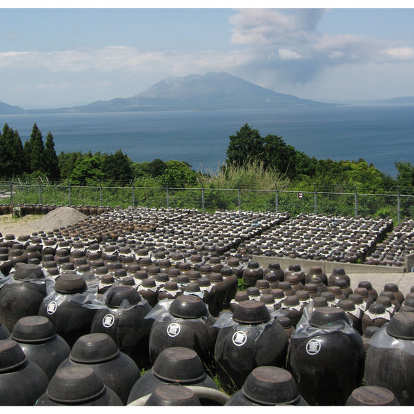 마루시게 미가키 딸기 프리미엄 음용식초 500ml