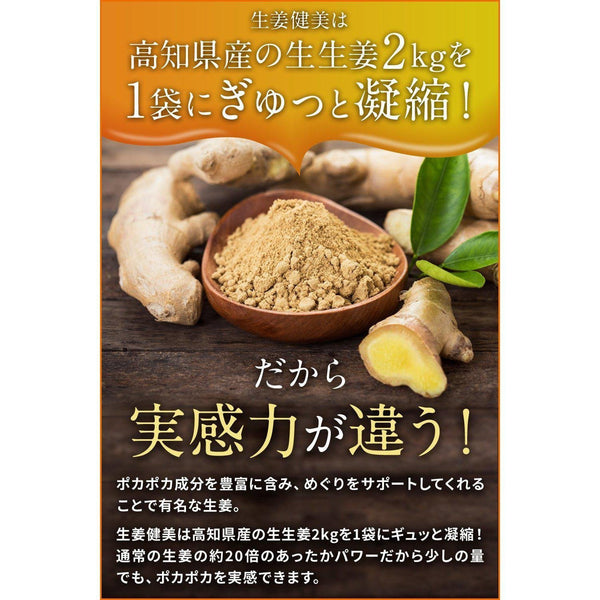 쇼가켄비 일본산 생강가루 100g