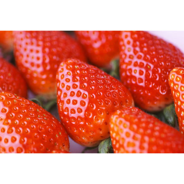 마루시게 미가키 딸기 프리미엄 음용식초 500ml