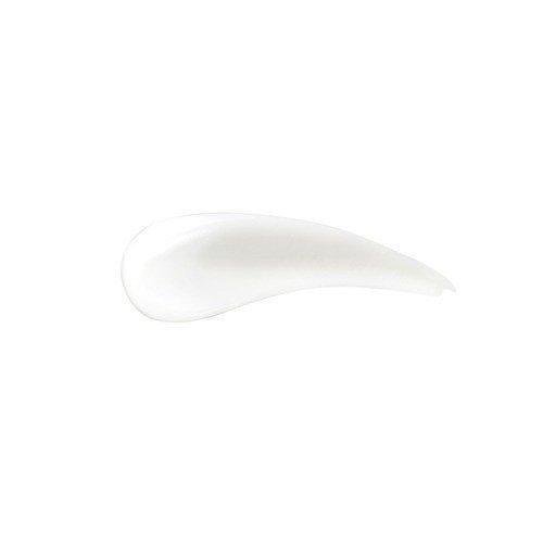 사나 나메라카 혼포 두유 이소플라본 링클 아이크림 20g