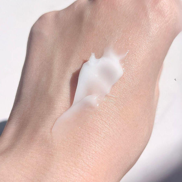 사나 나메라카 혼포 링클 나이트 크림 안티에이징 페이스 크림 50g