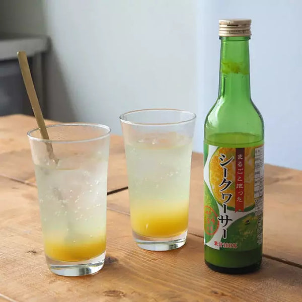 How to Make Ginger Ale Mocktail (Refreshing Summer Drink Recipe)