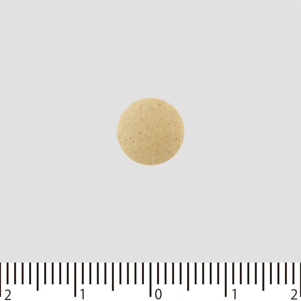 강력 와카모토 일본 위장 건강 보조 식품 1000알