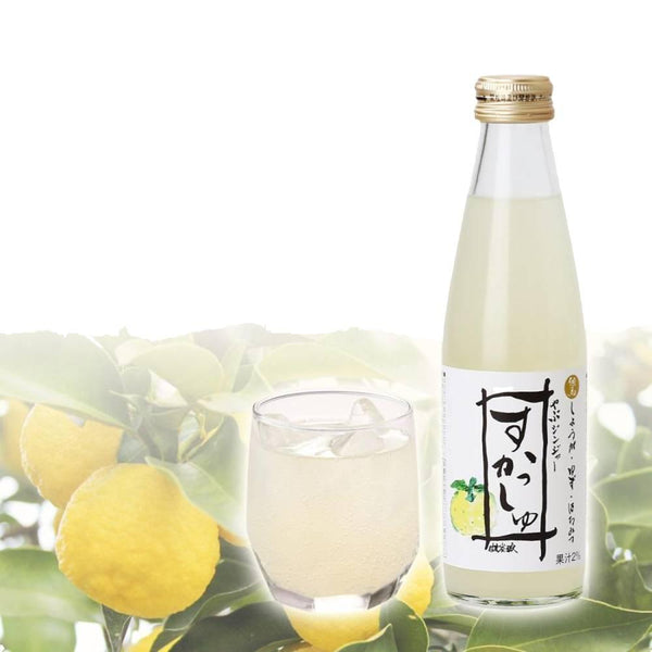 타지마 조조 스파클링 유자&야부 생강 식초 소다 음료 200ml